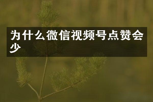 为什么微信视频号点赞会少
