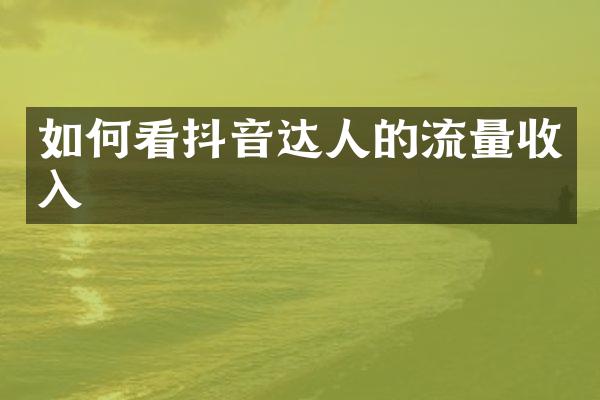 如何看抖音达人的流量收入