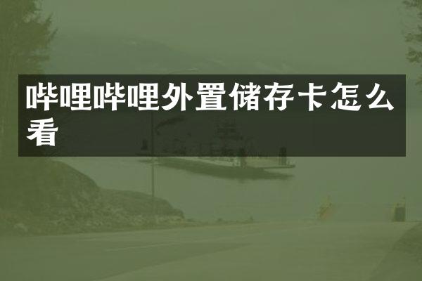 哔哩哔哩外置储存卡怎么看