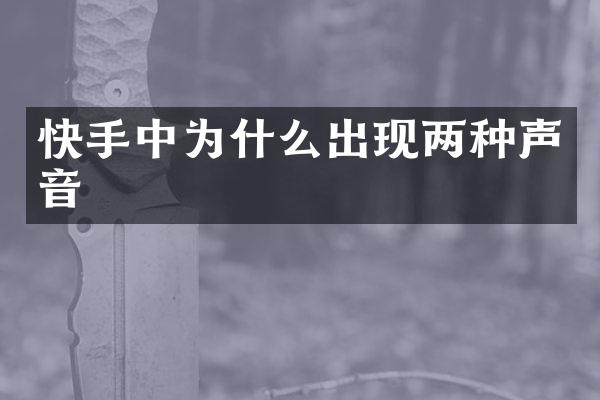 快手中为什么出现两种声音
