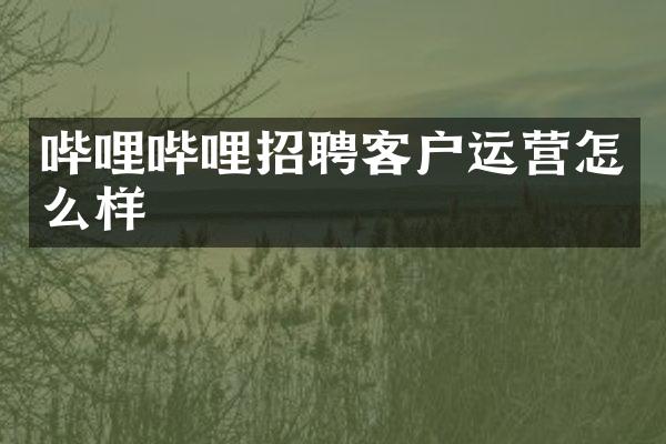 哔哩哔哩招聘客户运营怎么样