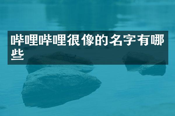 哔哩哔哩很像的名字有哪些