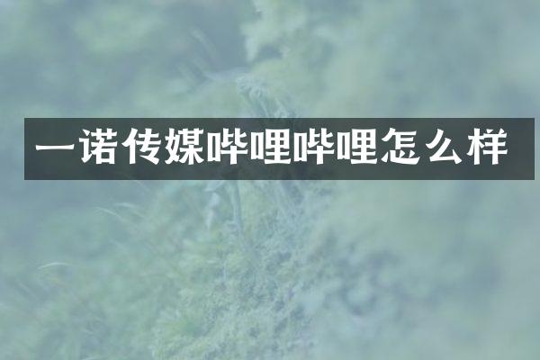 一诺传媒哔哩哔哩怎么样