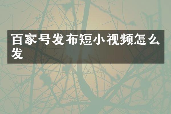 百家号发布短小视频怎么发