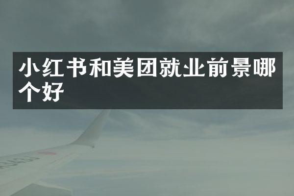 小红书和美团就业前景哪个好