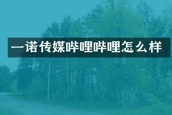 一诺传媒哔哩哔哩怎么样