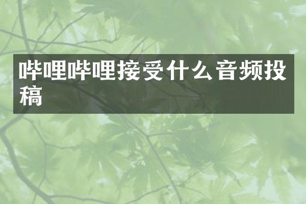 哔哩哔哩接受什么音频投稿
