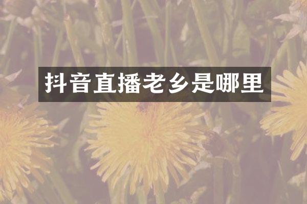 抖音直播老乡是哪里
