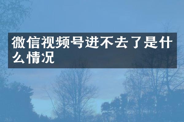微信视频号进不去了是什么情况