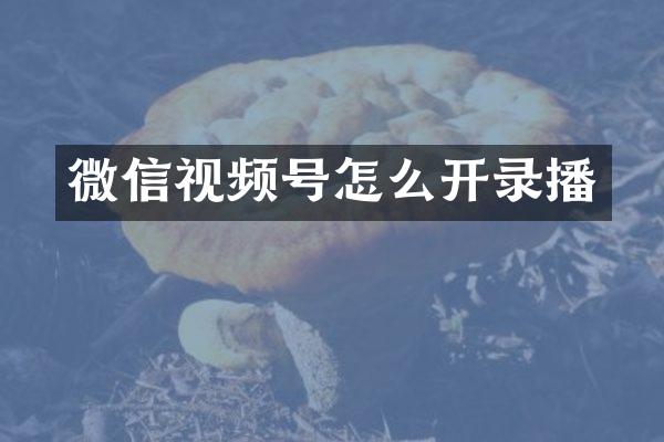 微信视频号怎么开录播