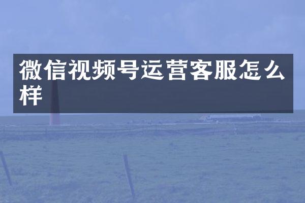 微信视频号运营客服怎么样
