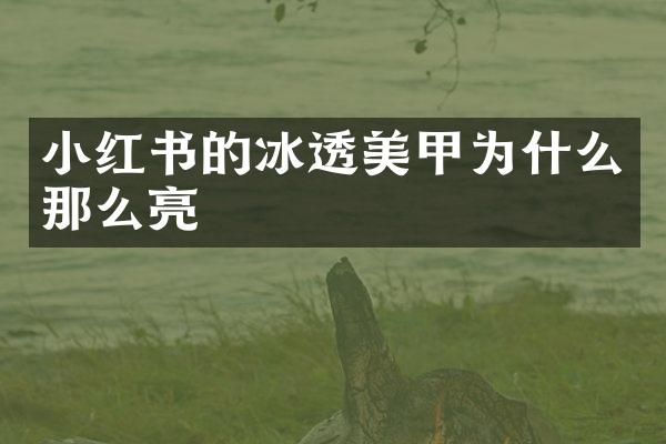 小红书的冰透美甲为什么那么亮