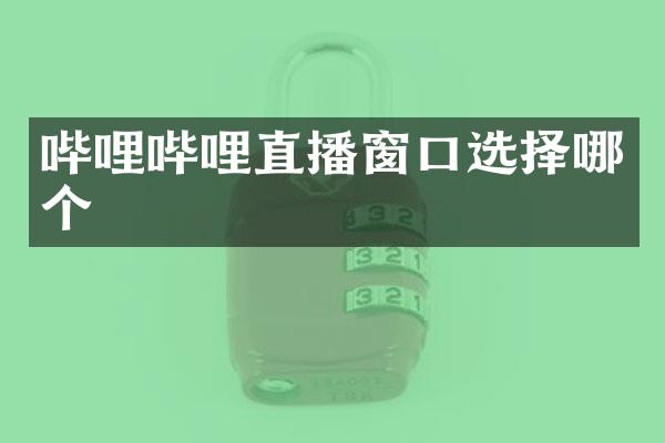 哔哩哔哩直播窗口选择哪个