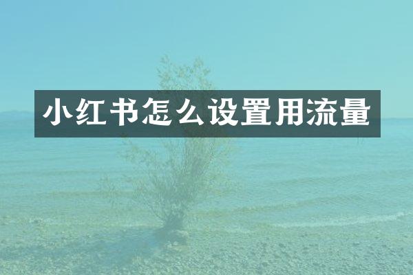 小红书怎么设置用流量