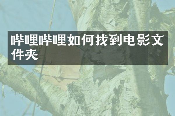 哔哩哔哩如何找到电影文件夹