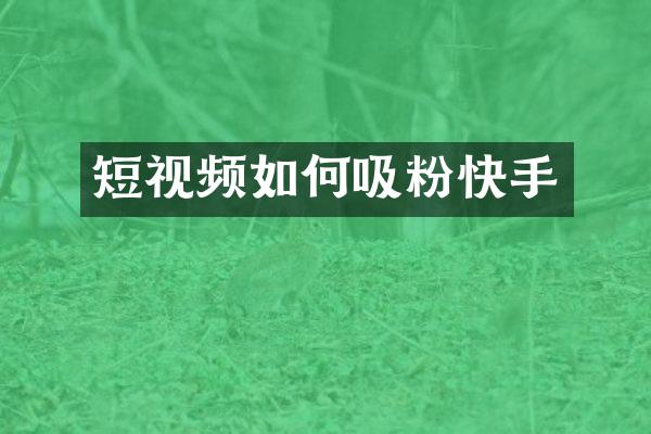 短视频如何吸粉快手