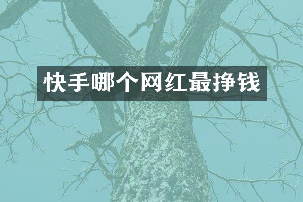 快手哪个网红最挣钱