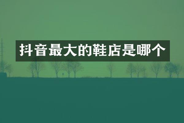 抖音最大的鞋店是哪个