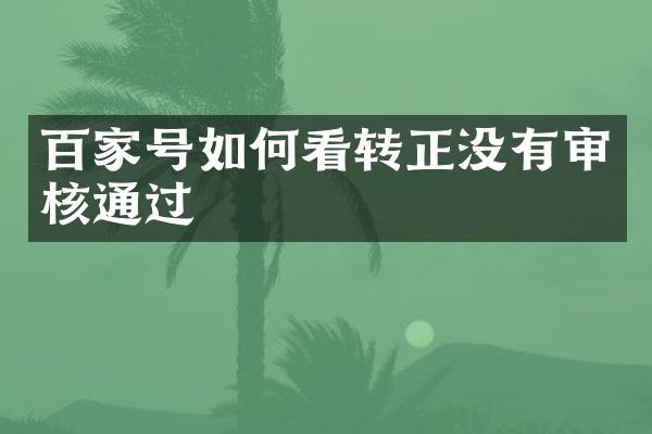 百家号如何看转正没有审核通过