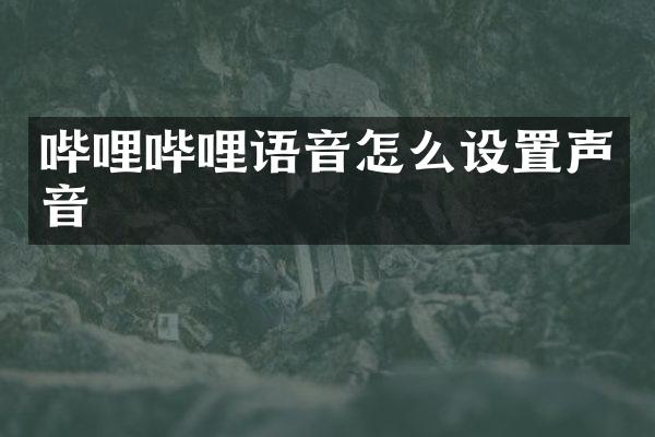 哔哩哔哩语音怎么设置声音