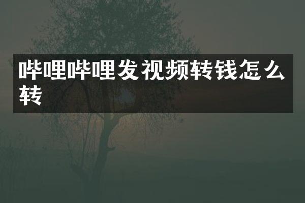 哔哩哔哩发视频转钱怎么转