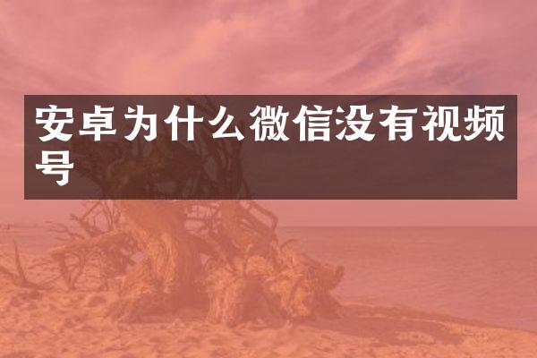 安卓为什么微信没有视频号