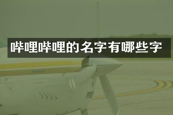 哔哩哔哩的名字有哪些字