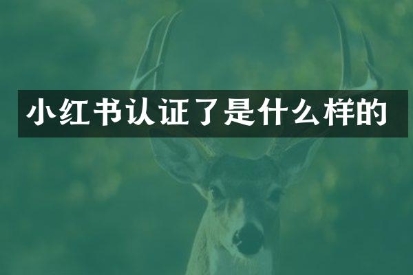 小红书认证了是什么样的