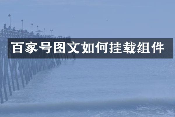 百家号图文如何挂载组件