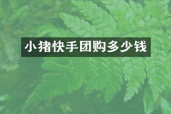 小猪快手团购多少钱