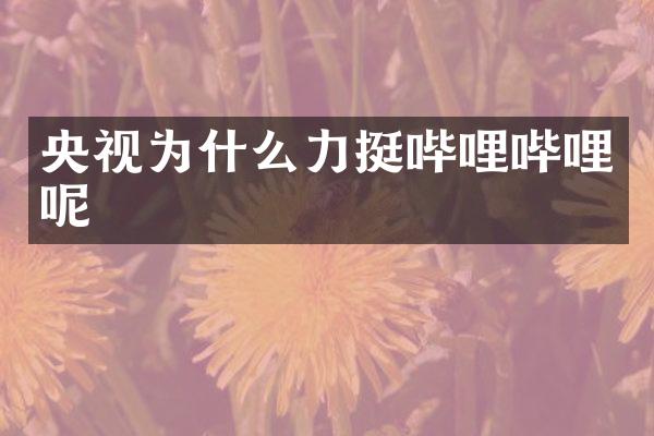 央视为什么力挺哔哩哔哩呢
