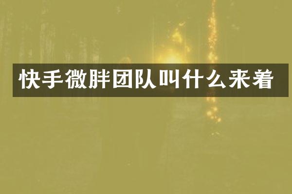 快手微胖团队叫什么来着