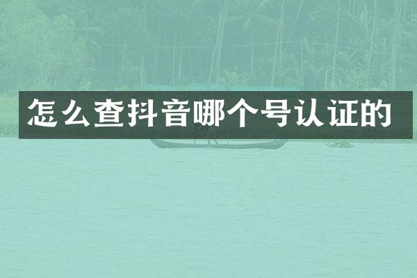 怎么查抖音哪个号认证的