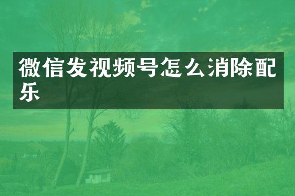 微信发视频号怎么消除配乐