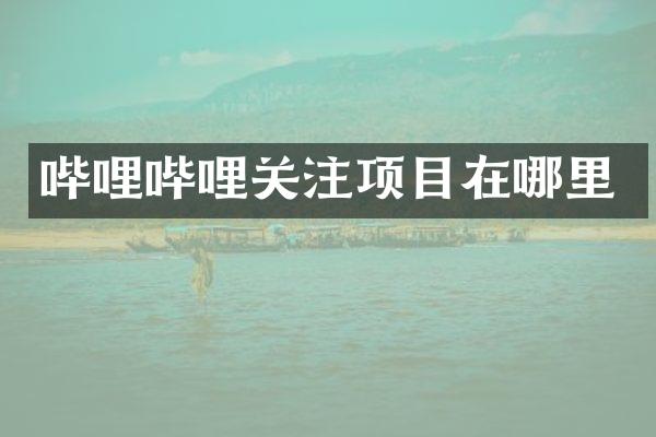 哔哩哔哩关注项目在哪里