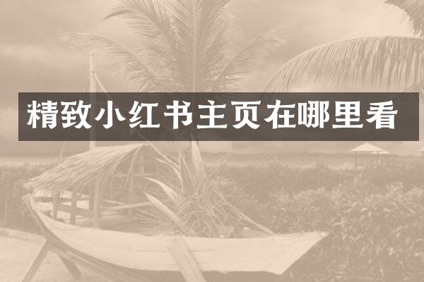 精致小红书主页在哪里看