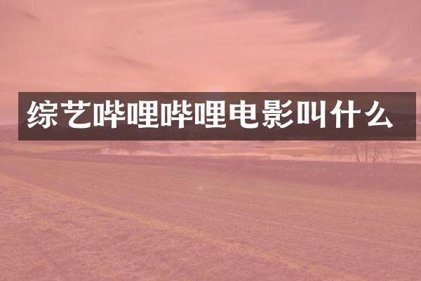 综艺哔哩哔哩电影叫什么