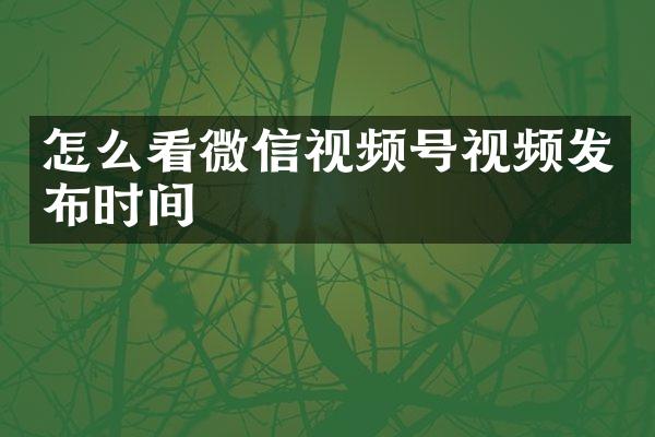 怎么看微信视频号视频发布时间