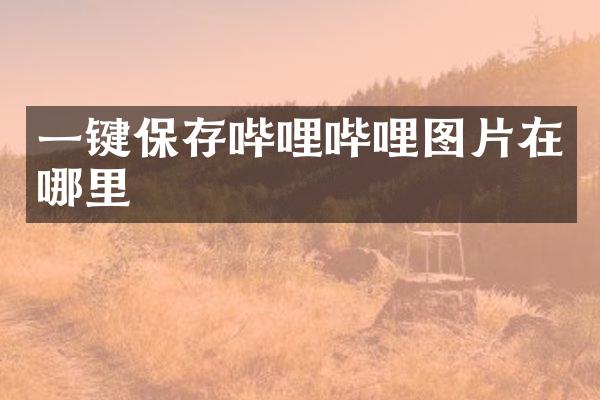 一键保存哔哩哔哩图片在哪里
