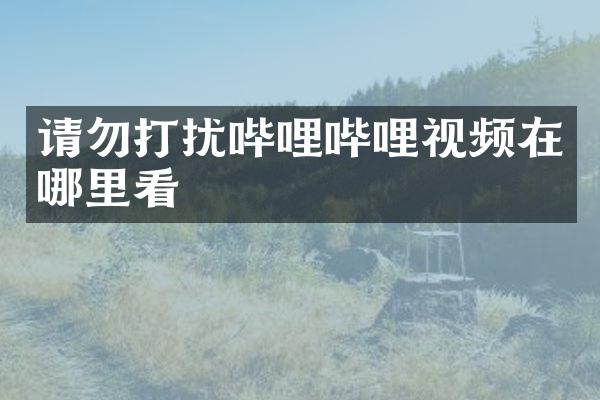请勿打扰哔哩哔哩视频在哪里看