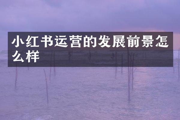 小红书运营的发展前景怎么样