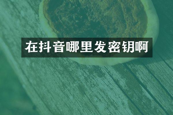 在抖音哪里发密钥啊