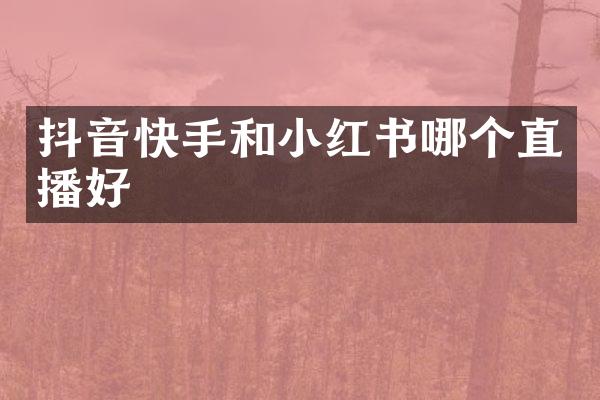 抖音快手和小红书哪个直播好