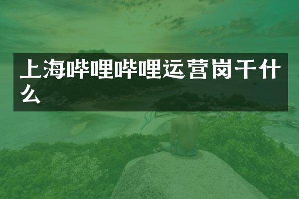 上海哔哩哔哩运营岗干什么