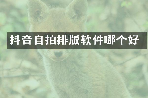 抖音自拍排版软件哪个好