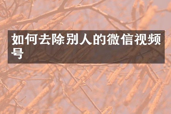 如何去除别人的微信视频号