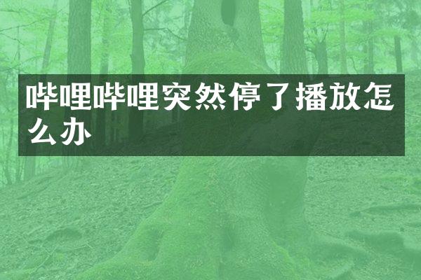 哔哩哔哩突然停了播放怎么办