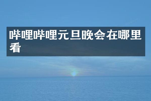 哔哩哔哩元旦晚会在哪里看