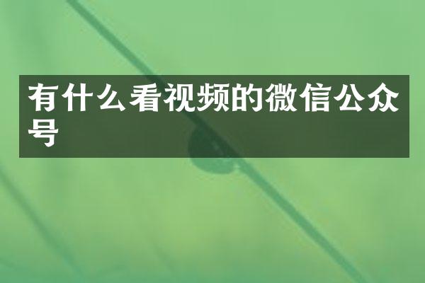 有什么看视频的微信公众号