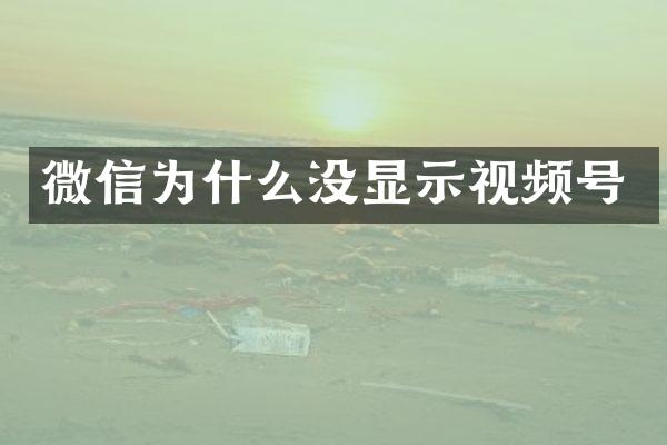 微信为什么没显示视频号